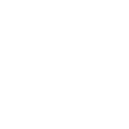 Фотография команды