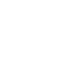 Фотография команды